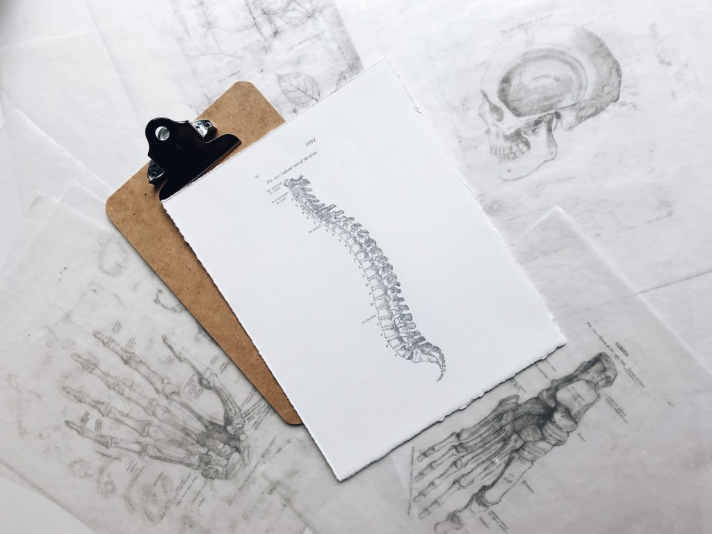 car accident spine injury drawing