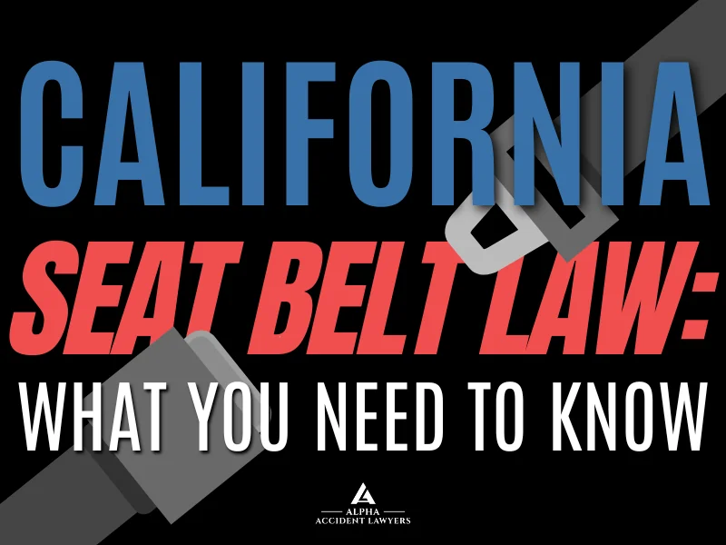 california seat belt law